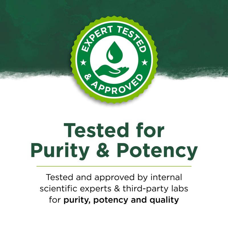 Spearmint Leaf - Traditional Digestive Support