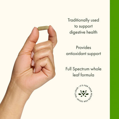 Spearmint Leaf - Traditional Digestive Support