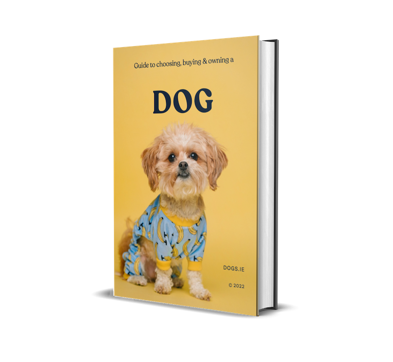 Dog Care Ebook