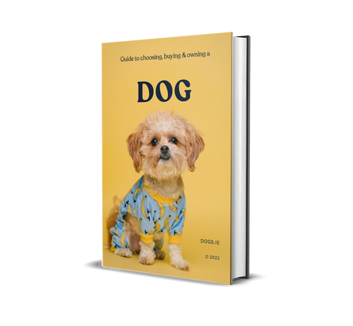 Dog Care Ebook