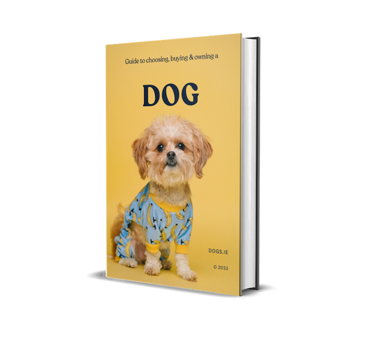 Dog Care Ebook